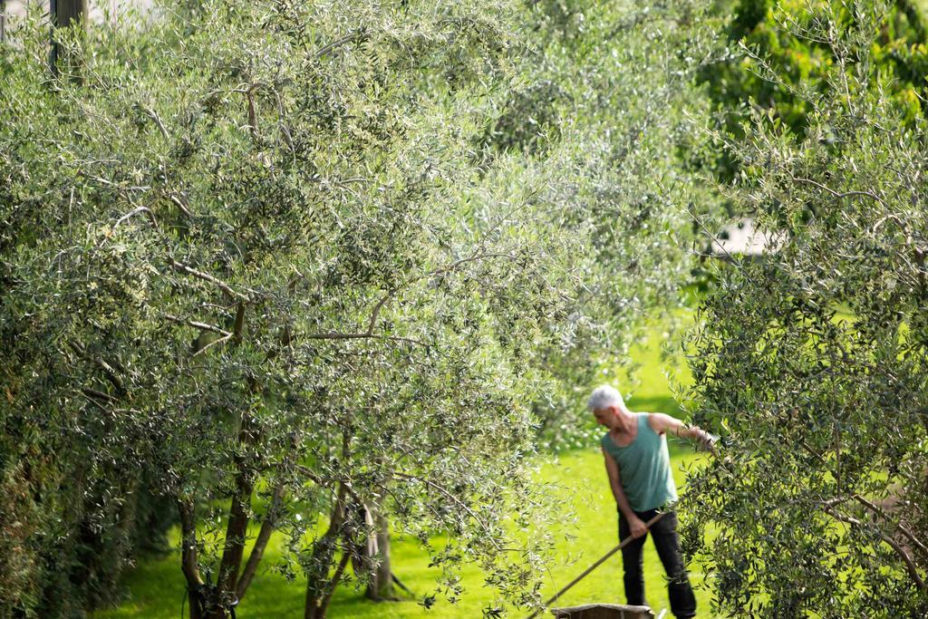 Agriturismo Vin E Amor Dro Luaran gambar